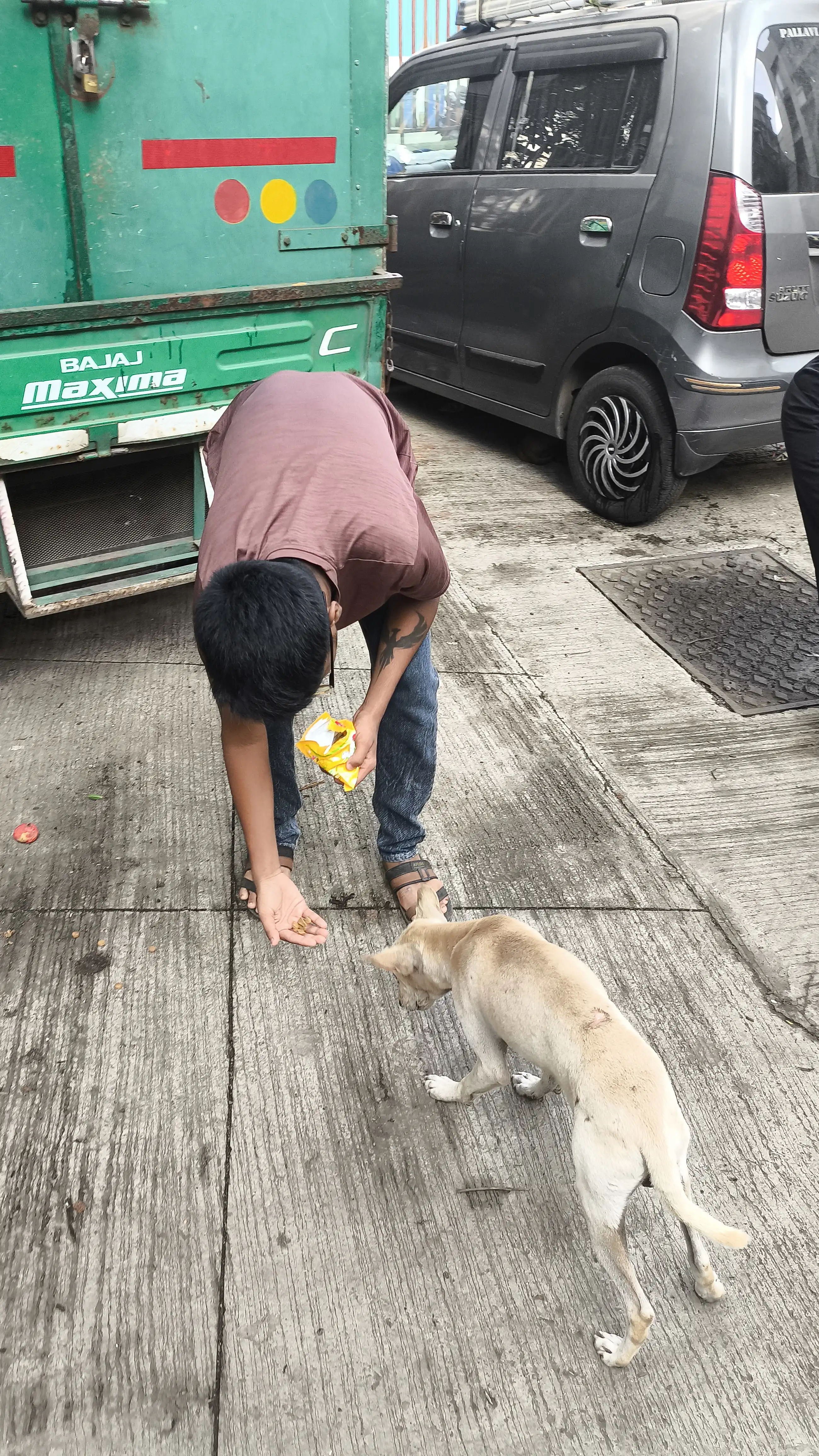 Mid-Week Street Dog Feeding Drive